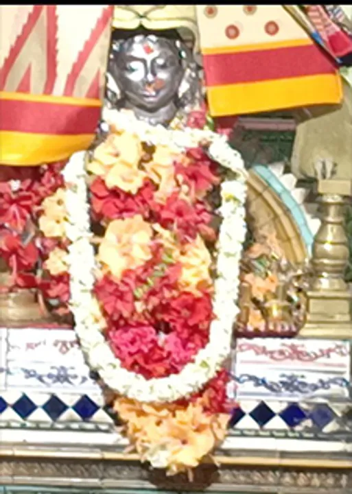  ପୁଣି ୧୨ ବର୍ଷକୁ ଅପେକ୍ଷା, କବିସୂର୍ଯ୍ୟନଗର ଯାତ୍ରା ଉଦ୍‌ଯାପିତ