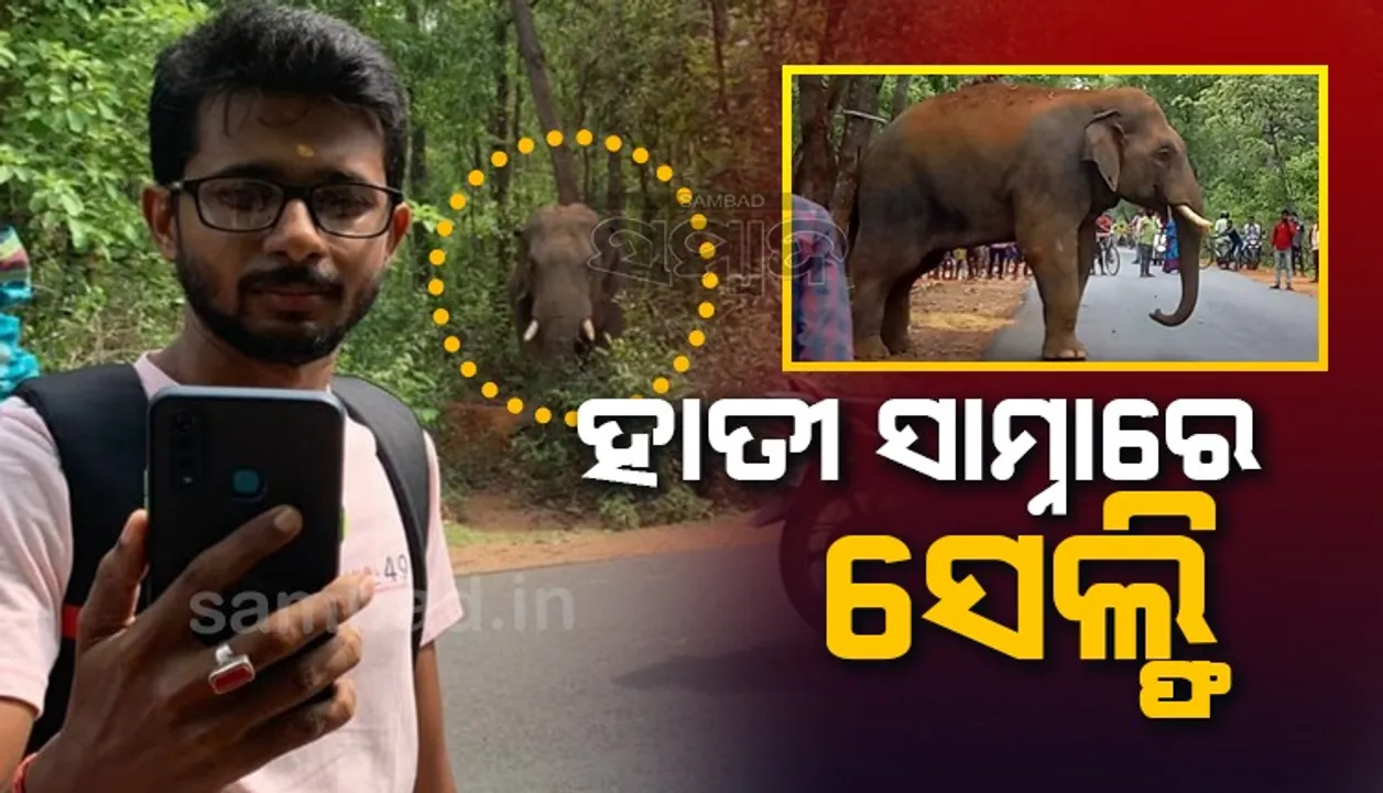  ସେଲ୍‌ଫି ନେଲା ବେଳେ ଗୋଡ଼ାଇଲା ଗୋଠଛଡ଼ା ଦନ୍ତା