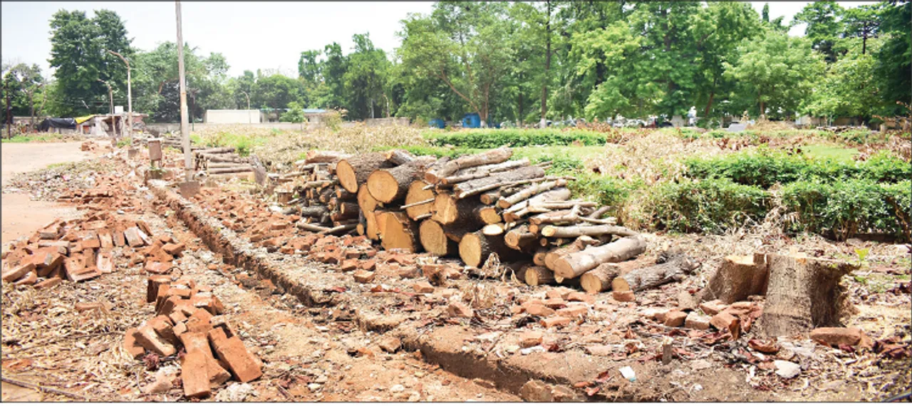  ବୃକ୍ଷ କଟା ନିରୋଧ ଆଇନ୍‌ କେବେ ? କ୍ଷତିପୂରଣ ବନୀକରଣର ହିସାବ ନାହିଁ