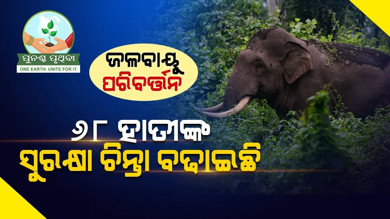  ଜଳବାୟୁ ପରିବର୍ତ୍ତନ ୬୮ ହାତୀଙ୍କ ସୁରକ୍ଷା ଚିନ୍ତା ବଢ଼ାଇଛି