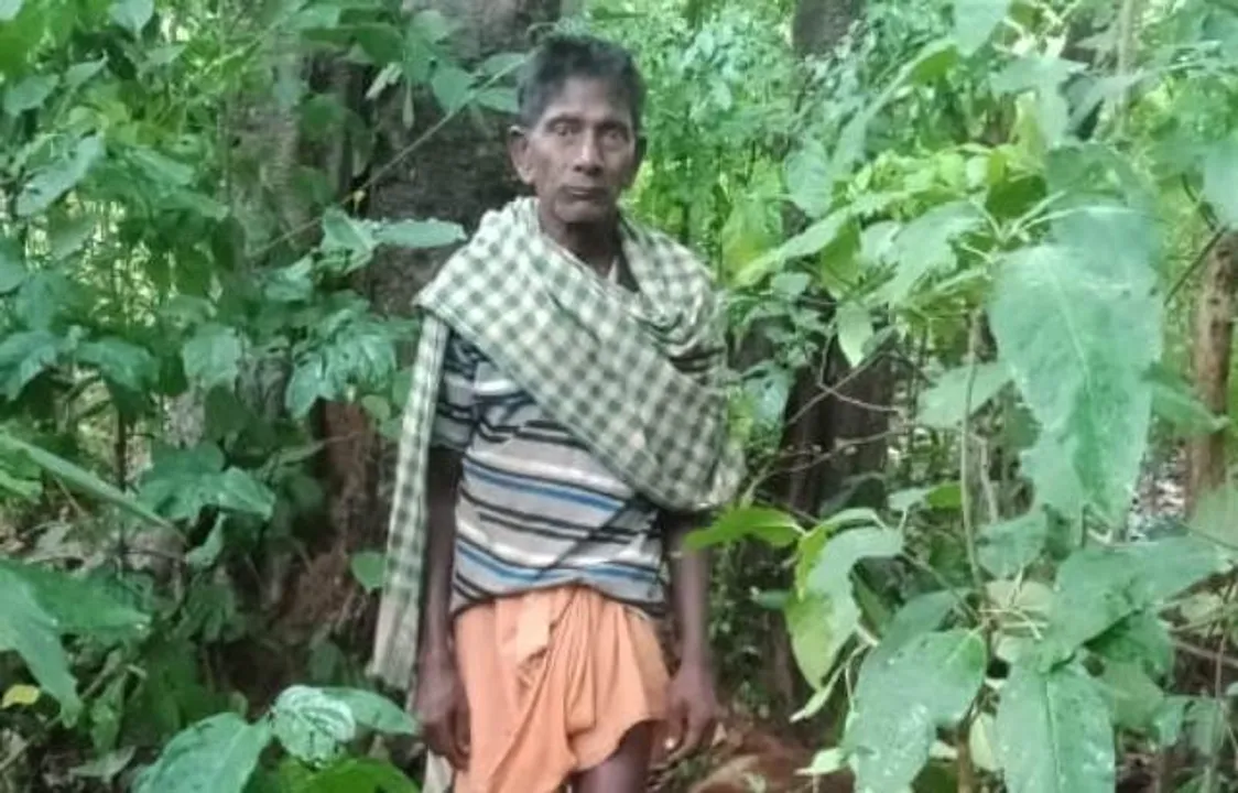  ବଜ୍ରପାତରେ ୧୬ ଛେଳି ମୃତ, ଅଳ୍ପକେ ବର୍ତ୍ତିଲେ ଛେଳିଚରାଳି