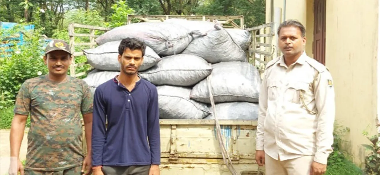  ଭ୍ୟାନ୍‌ ସହ ବିପୁଳ କାଠକୋଇଲା ଜବତ