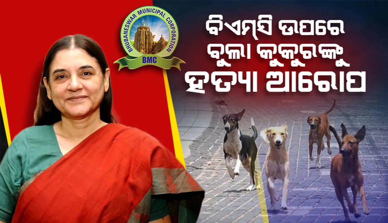  ନସବନ୍ଦୀ କରାଇ ପ୍ରତିଦିନ ୧୦ କୁକୁରଙ୍କ ଜୀବନ ନେଉଛି ବିଏମସି ! ମୁଖ୍ୟମନ୍ତ୍ରୀଙ୍କୁ ହସ୍ତକ୍ଷେପ କରିବାକୁ ଅନୁରୋଧ କଲେ ମାନେକା