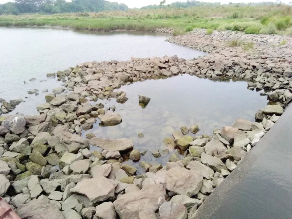  Sambad 
