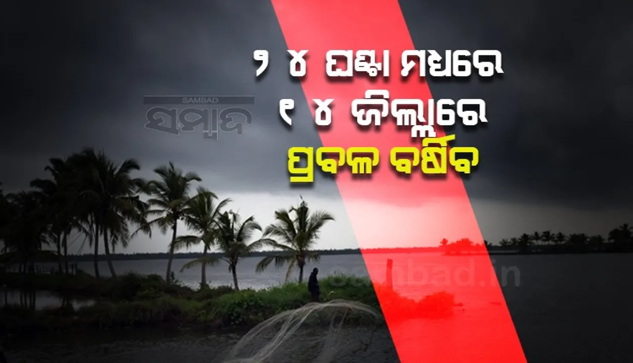  ୨୪ ଘଣ୍ଟା ମଧ୍ୟରେ ୧୪ ଜିଲ୍ଲାରେ ପ୍ରବଳ ବର୍ଷିବ: ଜାରି ହେଲା ୟେଲୋଓ୍ଵାର୍ଣ୍ଣିଂ