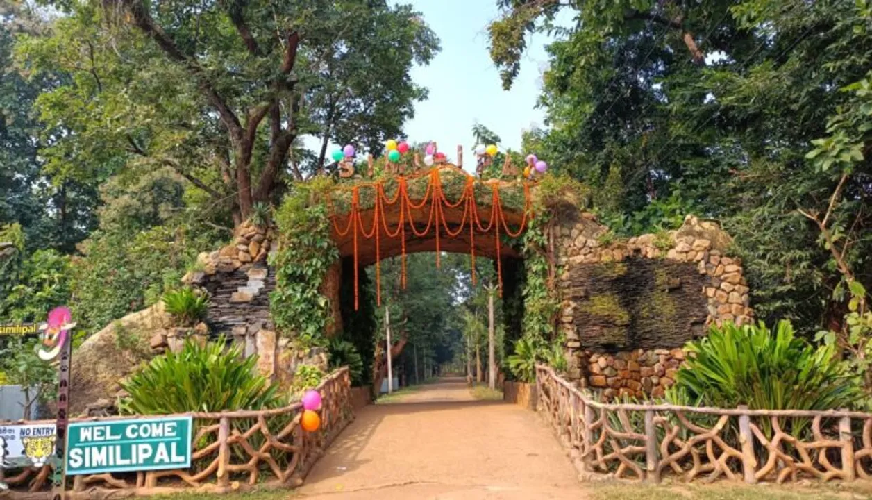  ଦସ୍ୟୁଙ୍କ କବ୍‌ଜାରେ ଶିମିଳିପାଳ
