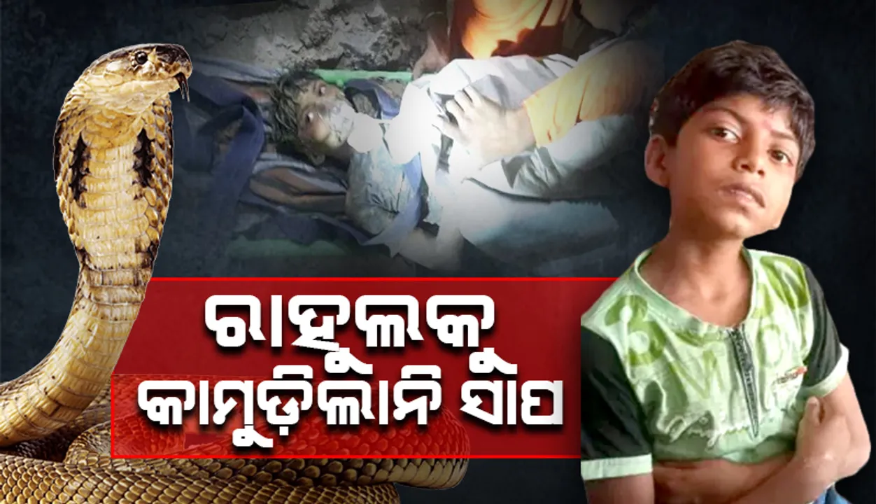  ରାହୁଲକୁ ଜଗିଥିଲା କାଳିଆ ଠାକୁର ! ସାପ ସହ ୧୦୪ ଘଣ୍ଟା, ହେଲେ ଦେହରେ ନାହିଁ କାମୁଡ଼ା ଚିହ୍ନ