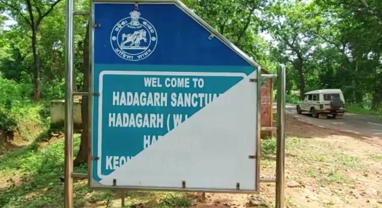  ପାହାଡ଼ ଉପରୁ ଖସି ପଡ଼ି ହାତୀର ମୃତ୍ୟୁ