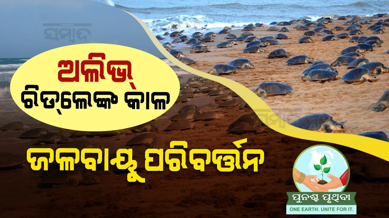  ଅଲିଭ୍‌ ରିଡ୍‌ଲେଙ୍କ କାଳ ଜଳବାୟୁ ପରିବର୍ତ୍ତନ