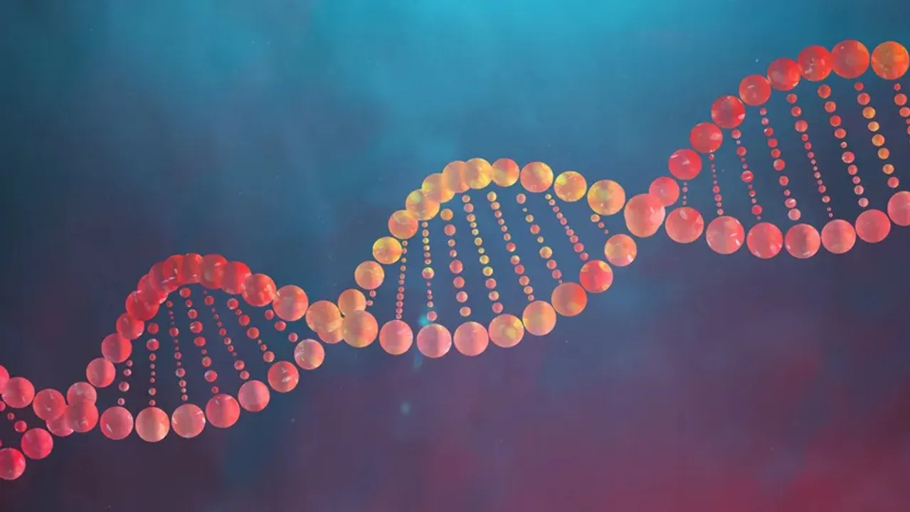  
Science | HowStuffWorks 