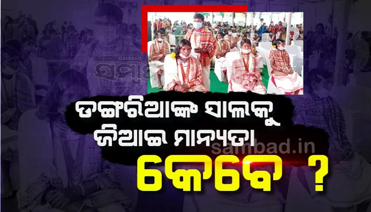 ଡଙ୍ଗରିଆଙ୍କ ସାଲକୁ ଜିଆଇ ମାନ୍ୟତା ପାଇଁ ସରିଛି ଆବେଦନ, ଅନୁମୋଦନକୁ ଅପେକ୍ଷା
