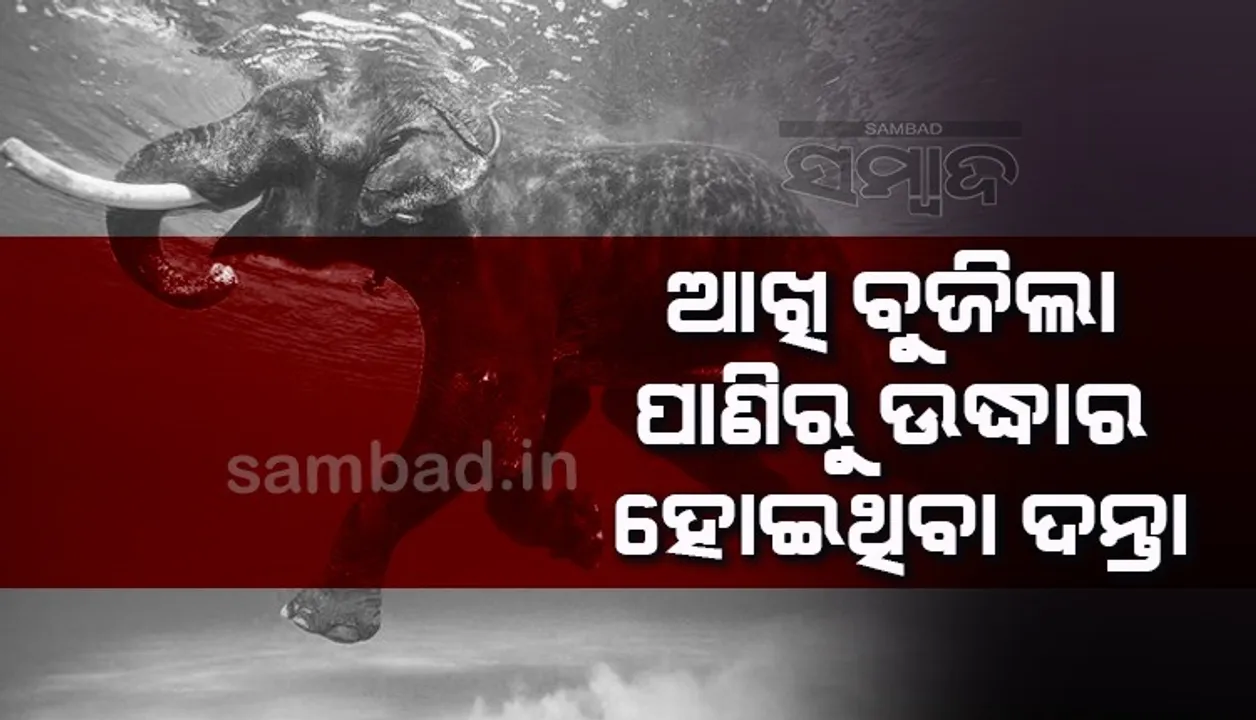  ପୋଖରୀ ଭିତରୁ କ୍ରେନ୍‌ ଯୋଗେ ଉଦ୍ଧାର ହୋଇଥିବା ଦନ୍ତାର ଚିକିତ୍ସାଧୀନ ଅବସ୍ଥାରେ ମୃତ୍ୟୁ