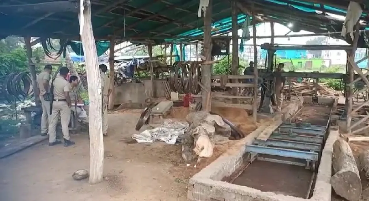  ବେଆଇନ କରତ କଳ ଉପରେ ଚଢ଼ାଉ; ଲକ୍ଷାଧିକ ଟଙ୍କାର ଯନ୍ତ୍ରାଂଶ ଓ କାଠ ଜବତ