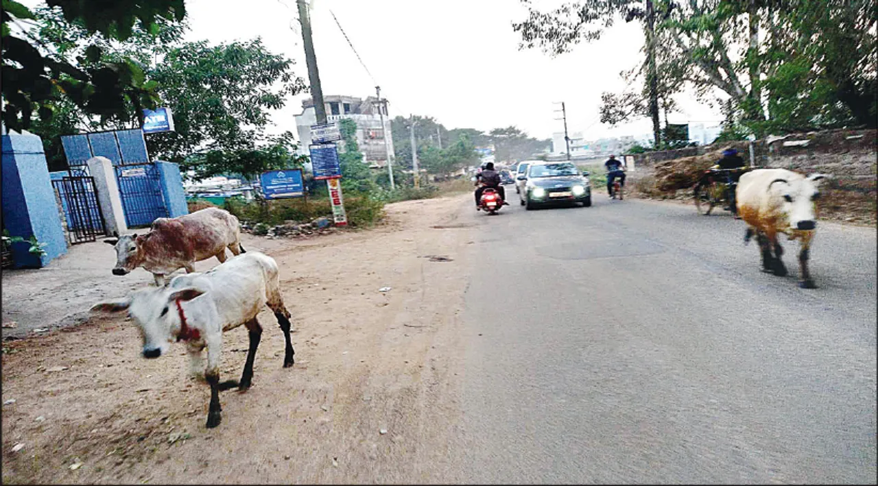  ସ୍ବପ୍ନରେ ରହିଯିବ ସୁନ୍ଦରପଦା-ଜଟଣୀ ରାସ୍ତା ପ୍ରଶସ୍ତୀକରଣ!