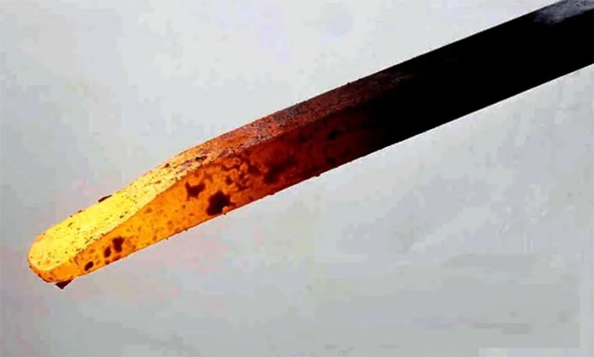  Reportodisha.com 