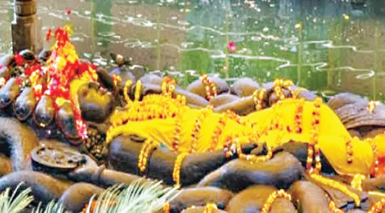  ଜୀବନ-ମନ୍ତ୍ର: ଜଳଶାୟୀ ବିଷ୍ଣୁ ଓ ବିକଶିତ କଦମ୍ବ