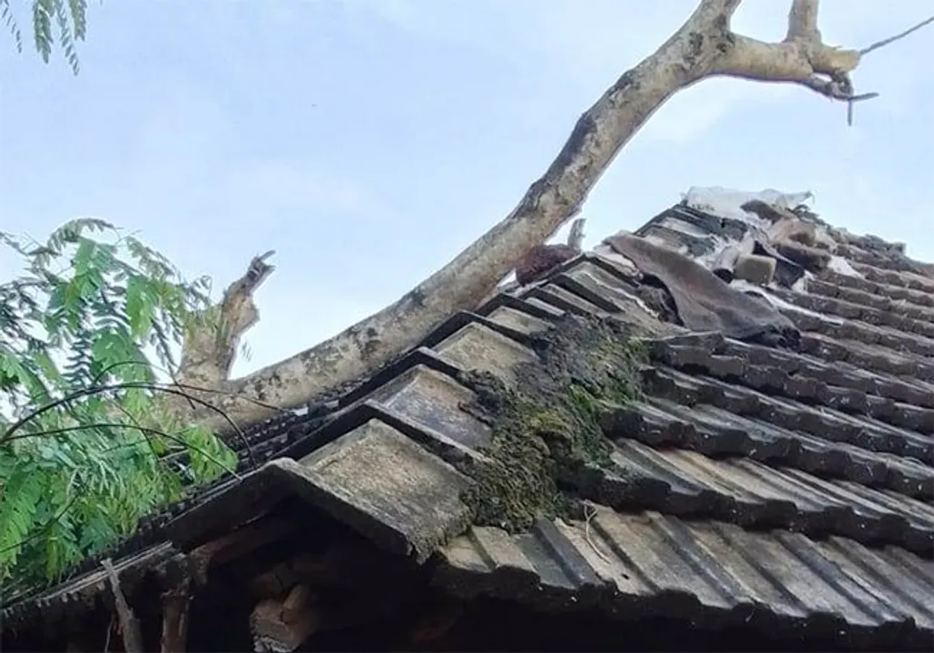  ଗଛ ପଡ଼ି ଘର ଭାଙ୍ଗିଲା