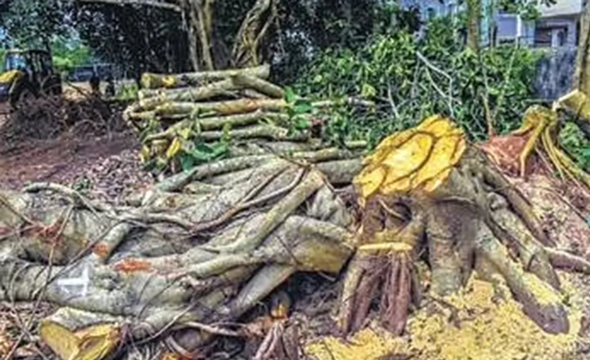  ବିହାରୀଲାଲ୍‌ ଷ୍ଟାଡିୟମ୍‌ରେ ମଲ୍ଟି ପର୍‌ପଜ୍‌ ହଲ୍‌ କାମ ବନ୍ଦ