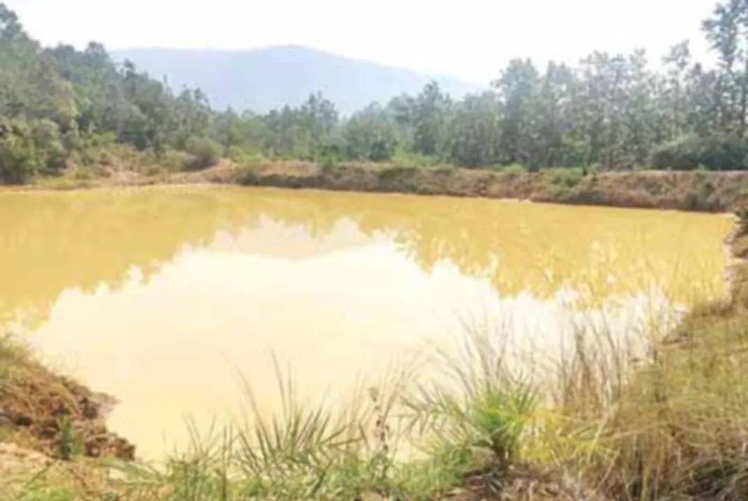  ଗାଁ ପୋଖରୀରେ ଭାସୁଛି ନାବାଳିକାର ମୃତଦେହ