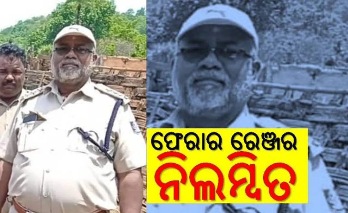  ଜିଲିଣ୍ଡା ବନାଞ୍ଚଳରୁ ହାତୀ କଙ୍କାଳ ଉଦ୍ଧାର ଘଟଣା: ନିଲମ୍ବିତ ହେଲେ ଫେରାର ରେଞ୍ଜର