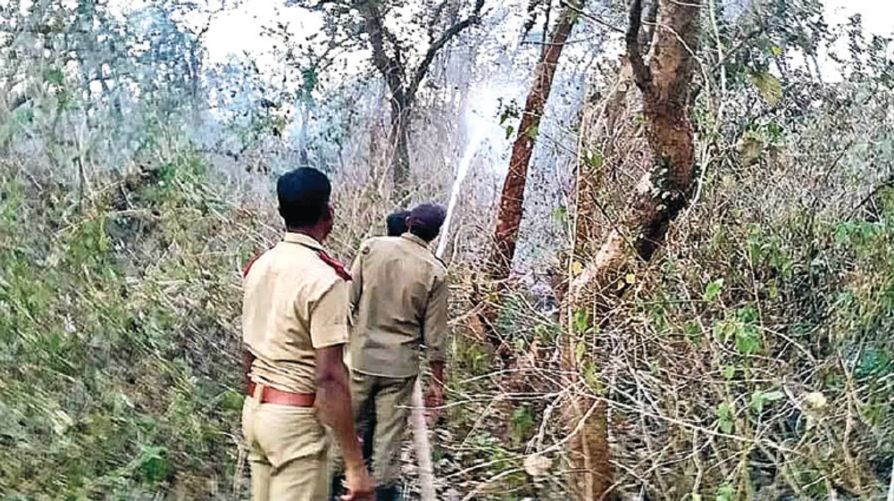  ବିପଦରେ ସର୍ବବୃହତ ଜୈବମଣ୍ଡଳ ଶିମିଳିପାଳ: କମୁଛି ଜଙ୍ଗଲ, ବିଗୁଡ଼ୁଛି ପରିବେଶ ସନ୍ତୁଳନ