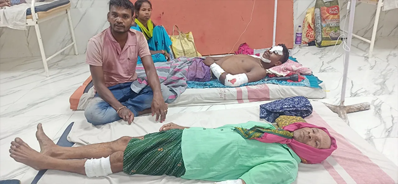  ସମରସିଂ ଜଙ୍ଗଲରେ ଭାଲୁ-ମଣିଷ ଲଢ଼େଇ,୩ ମୃତ, ୨ ଗୁରୁତର