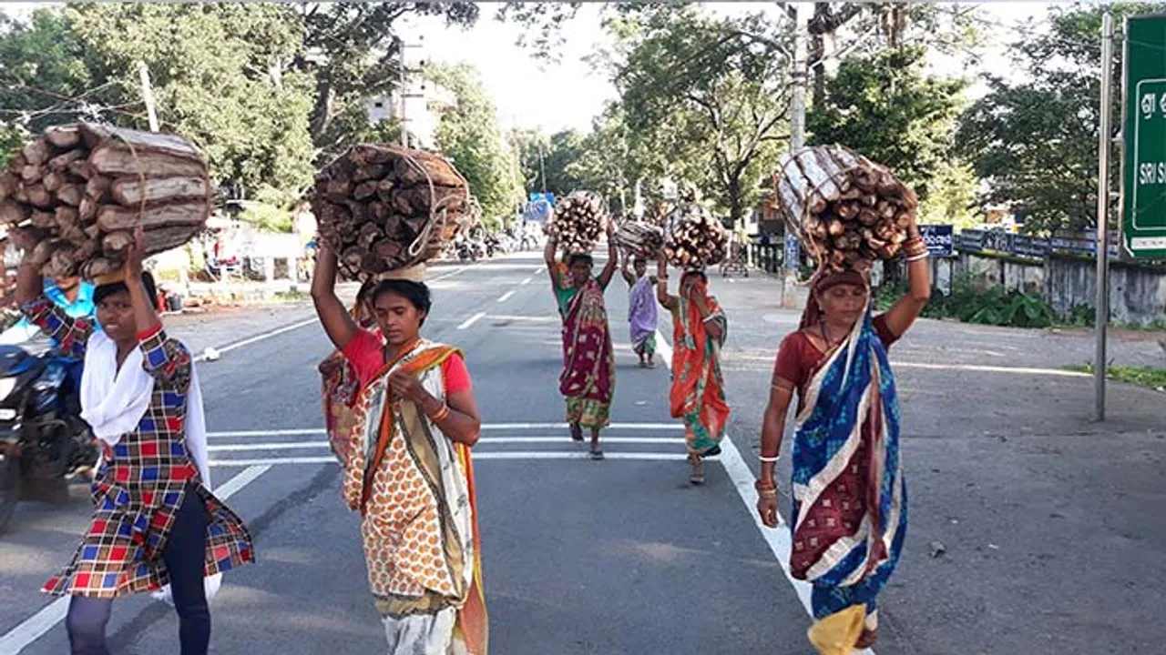  ଜଙ୍ଗଲଶୂନ୍ୟ ହେବ କନ୍ଧମାଳ! ସୁଚିନ୍ତିତ ଉପାୟରେ ଚାଲିଛି କାଠ କଟା