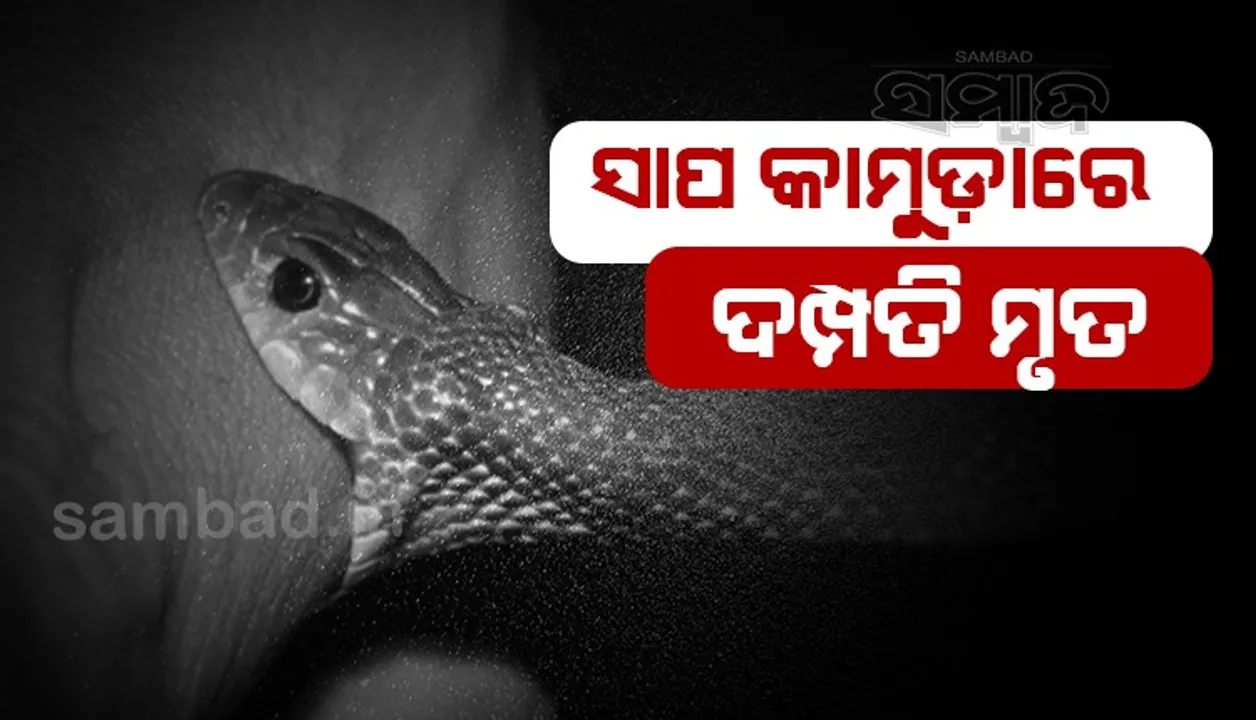 ରାତିରେ ଶୋଇଥିଲେ ଯୁବ ଦମ୍ପତି; ସାପ କାମୁଡ଼ାରେ ମୃତ, ଦେଢ଼ ବର୍ଷର ବାପ-ମା’ ଛେଉଣ୍ଡ ଶିଶୁପୁତ୍ରକୁ ସହାୟତା ଦାବି