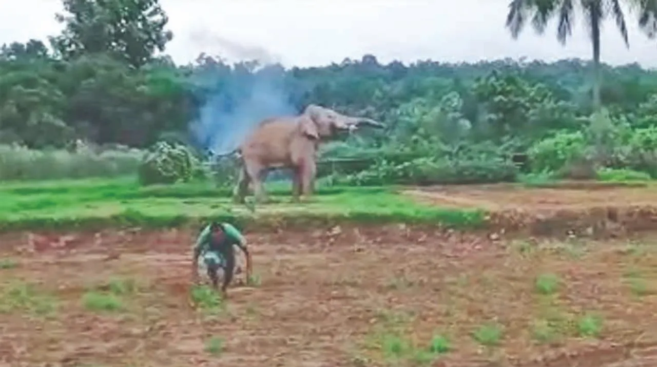  ଦନ୍ତା ମୁହଁରୁ ଅଳ୍ପକେ ବର୍ତ୍ତିଲେ ଚାଷୀ