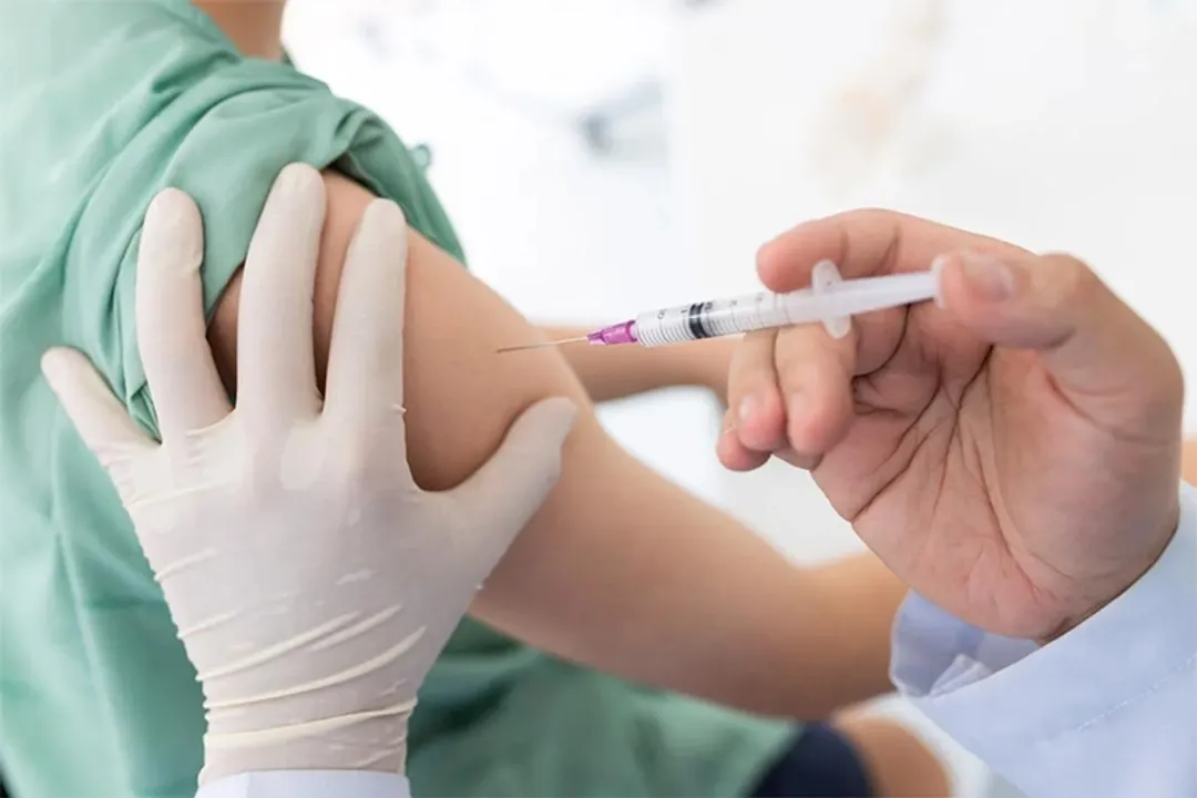  News-Medical.net 