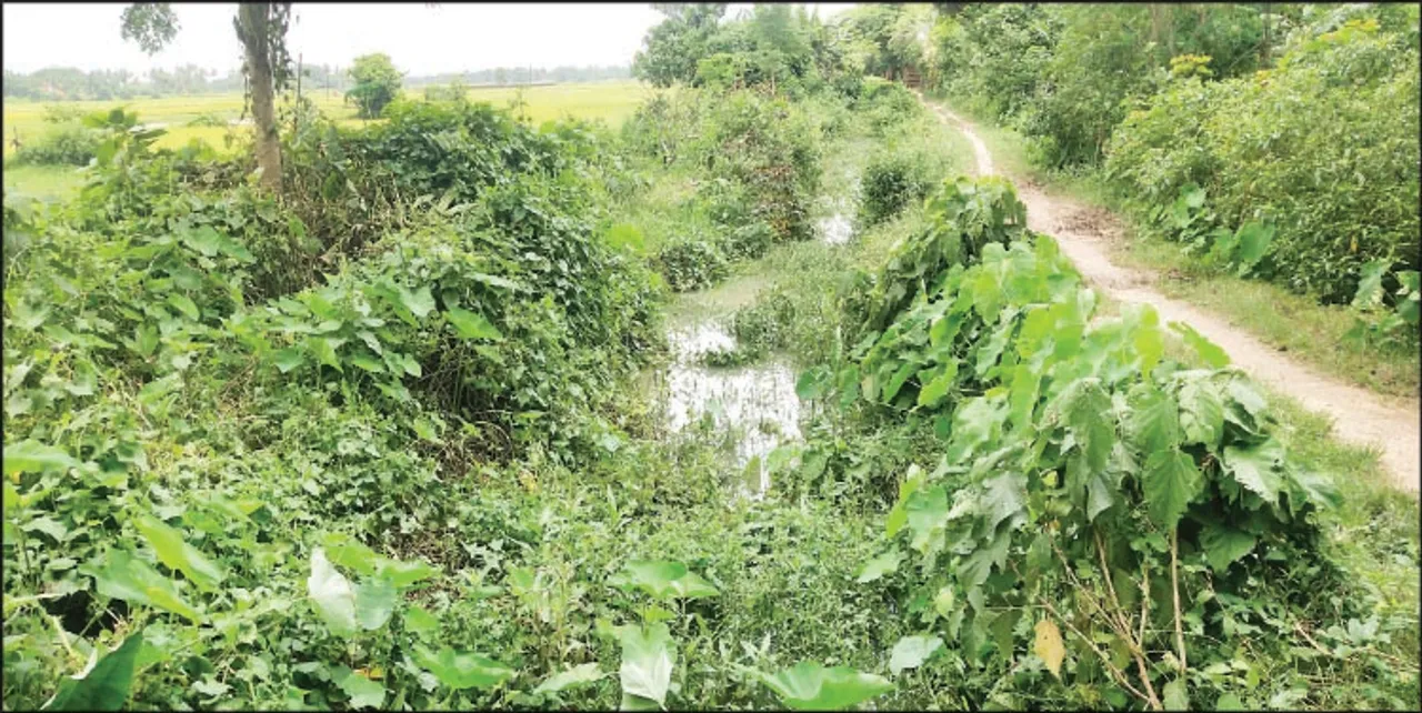  କେନାଲ ସଫେଇରେ କେଳେଙ୍କାରୀ!