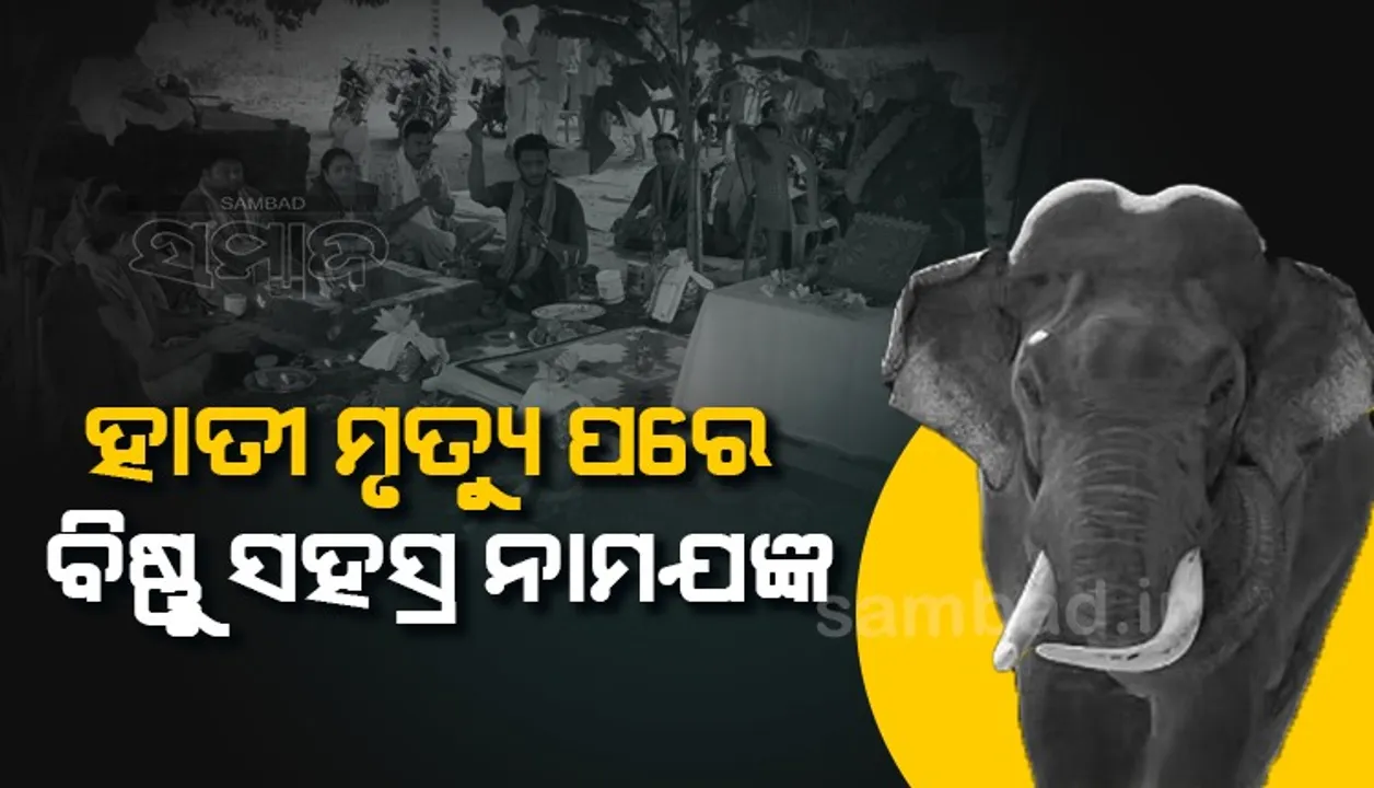  ଦନ୍ତାର ମୃତ୍ୟୁରେ ଝୁରି ହେଉଛନ୍ତି ଗ୍ରାମବାସୀ, ଆତ୍ମା ଶାନ୍ତି ପାଇଁ ଆୟୋଜନ କଲେ ନାମଯଜ୍ଞ ଓ ରୁଦ୍ରାଭିଷେକ