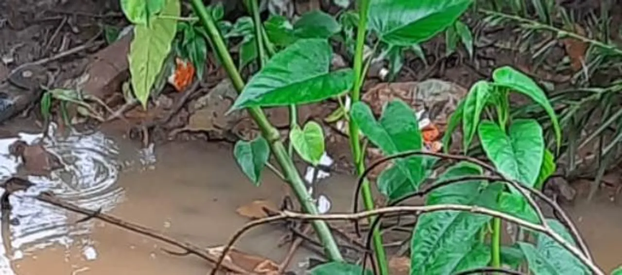  ନିଖୋଜ ଯୁବକଙ୍କ ମୃତଦେହ ଉଦ୍ଧାର