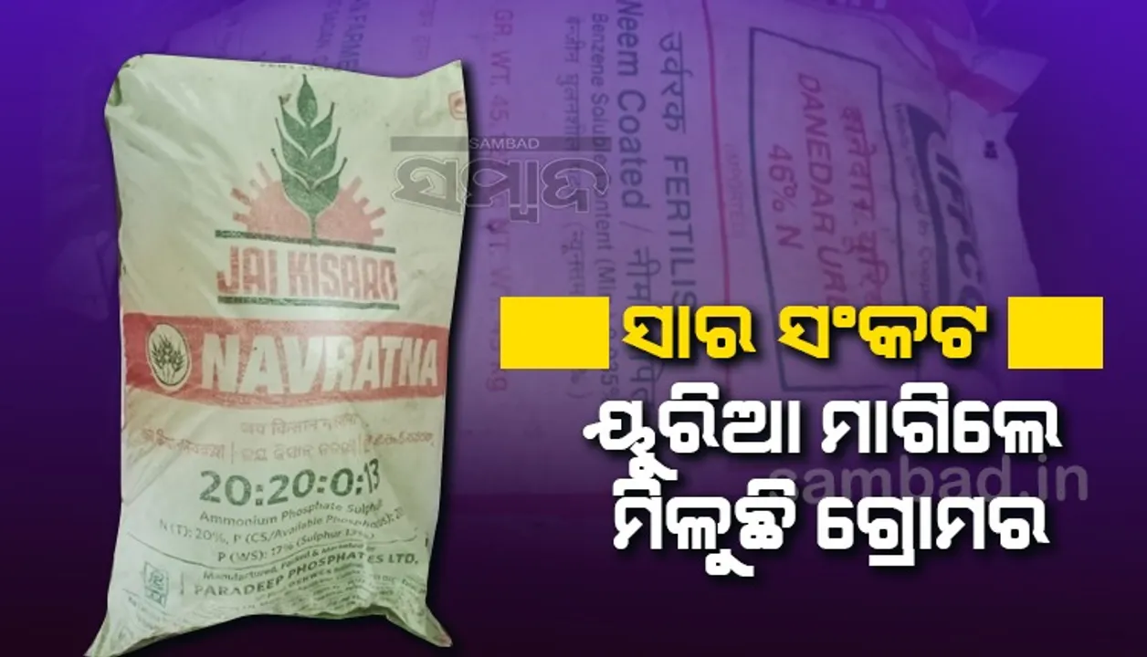  ଚାଷୀଙ୍କୁ ଦରକାର ୟୁରିଆ, ଦିଆଯାଉଛି ଗ୍ରୋମର ଓ ଜିପ୍ଟମାଇଟ ପ୍ଲସ ସାର!