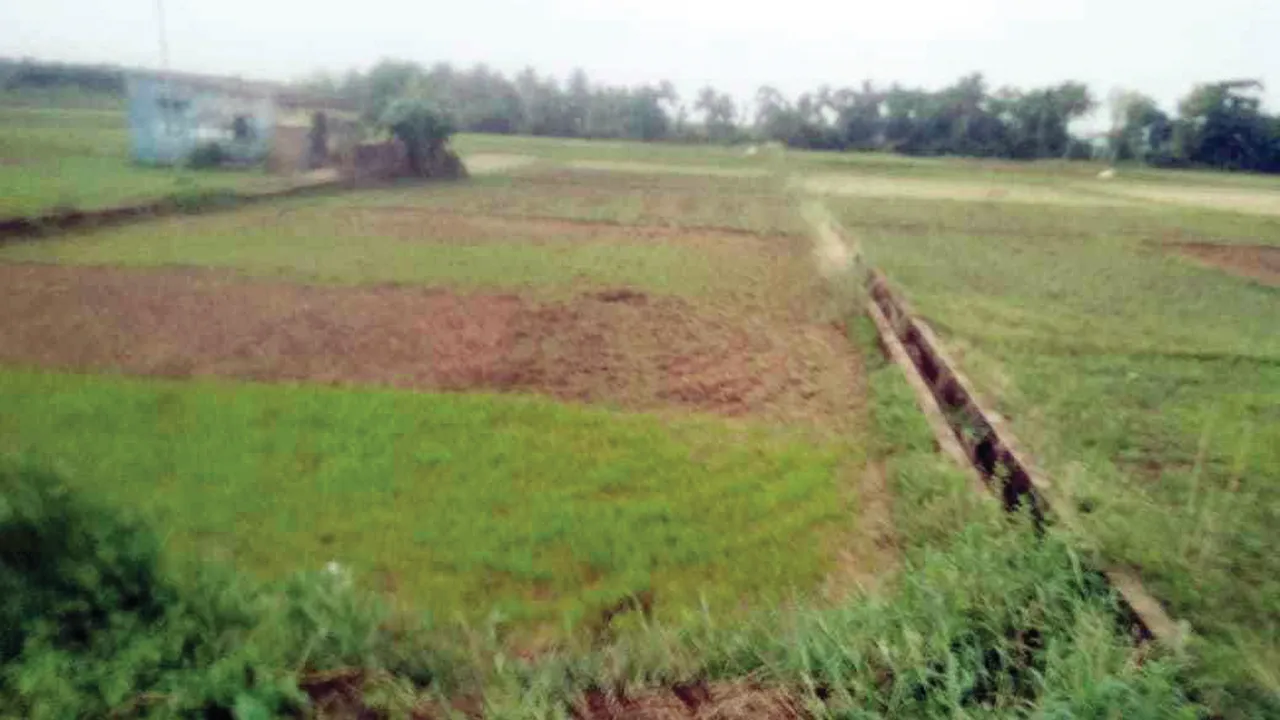  Sambad 