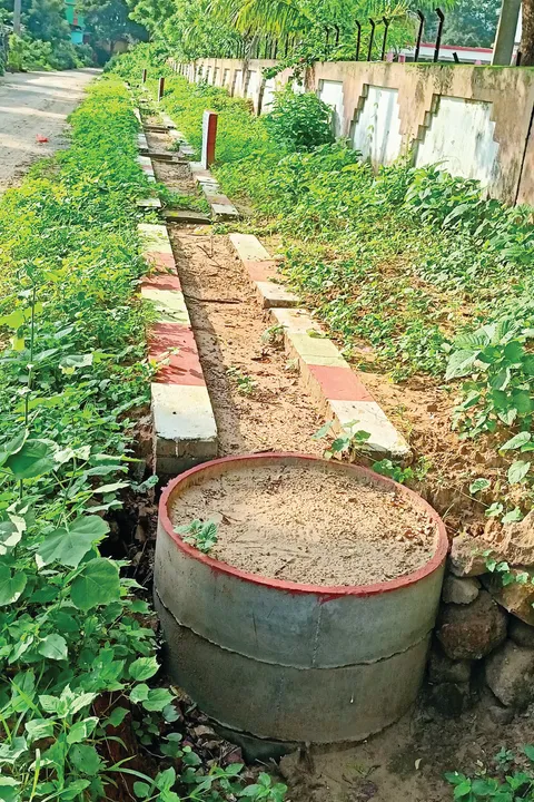  Sambad 