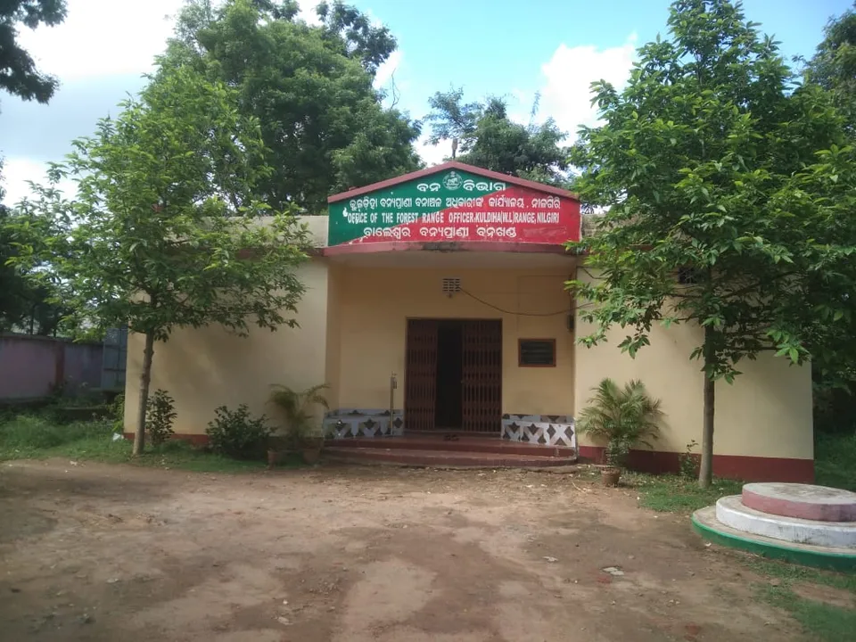  ଚିନ୍ତା ବଢ଼ାଉଛି ହାତୀ ମୃତ୍ୟୁ: କୁଳଡିହା ଅଭୟାରଣ୍ୟରେ ହାତୀ ଛୁଆ ମୃତ