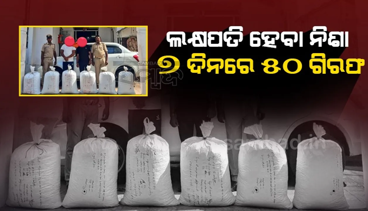  ରାତାରାତି ଲକ୍ଷପତି ହେବାର ନିଶା: ପଥଭ୍ରଷ୍ଟ ଯୁବପିଢି, ସପ୍ତାହକରେ ଗିରଫ ହେଲେଣି ୫୦