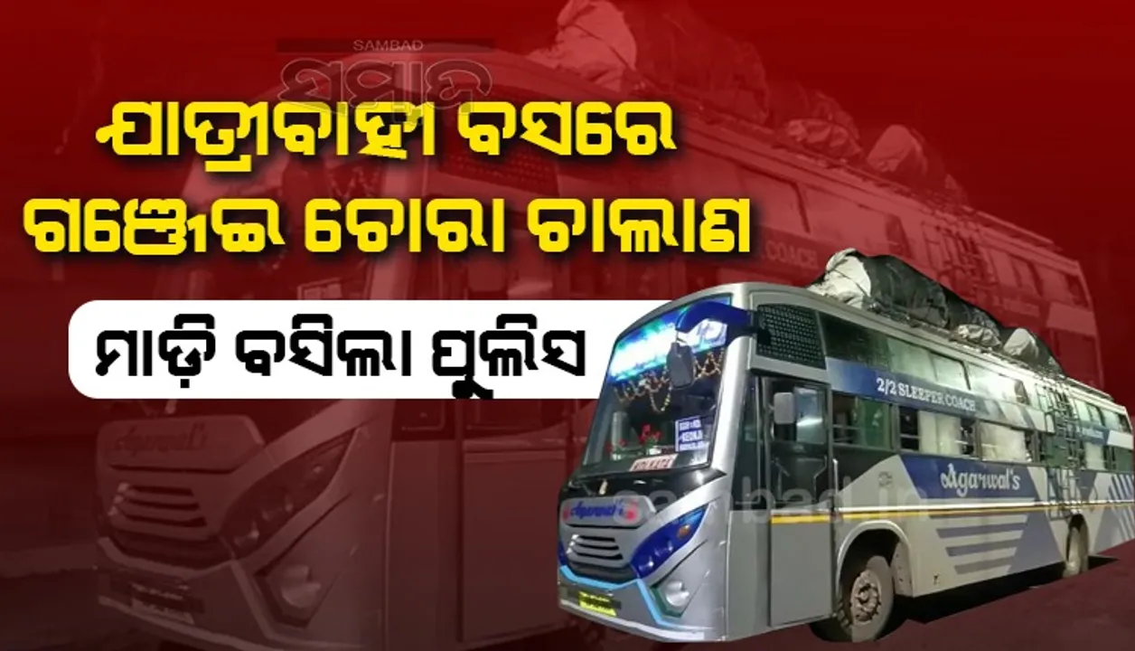  ବିଳାସପୂର୍ଣ୍ଣ ବସ୍‌ରେ ଓଡ଼ିଶାରୁ କୋଲକାତା ଗଂଜେଇ ଚାଲାଣ କରୁଥିଲେ ୩ ମହିଳା