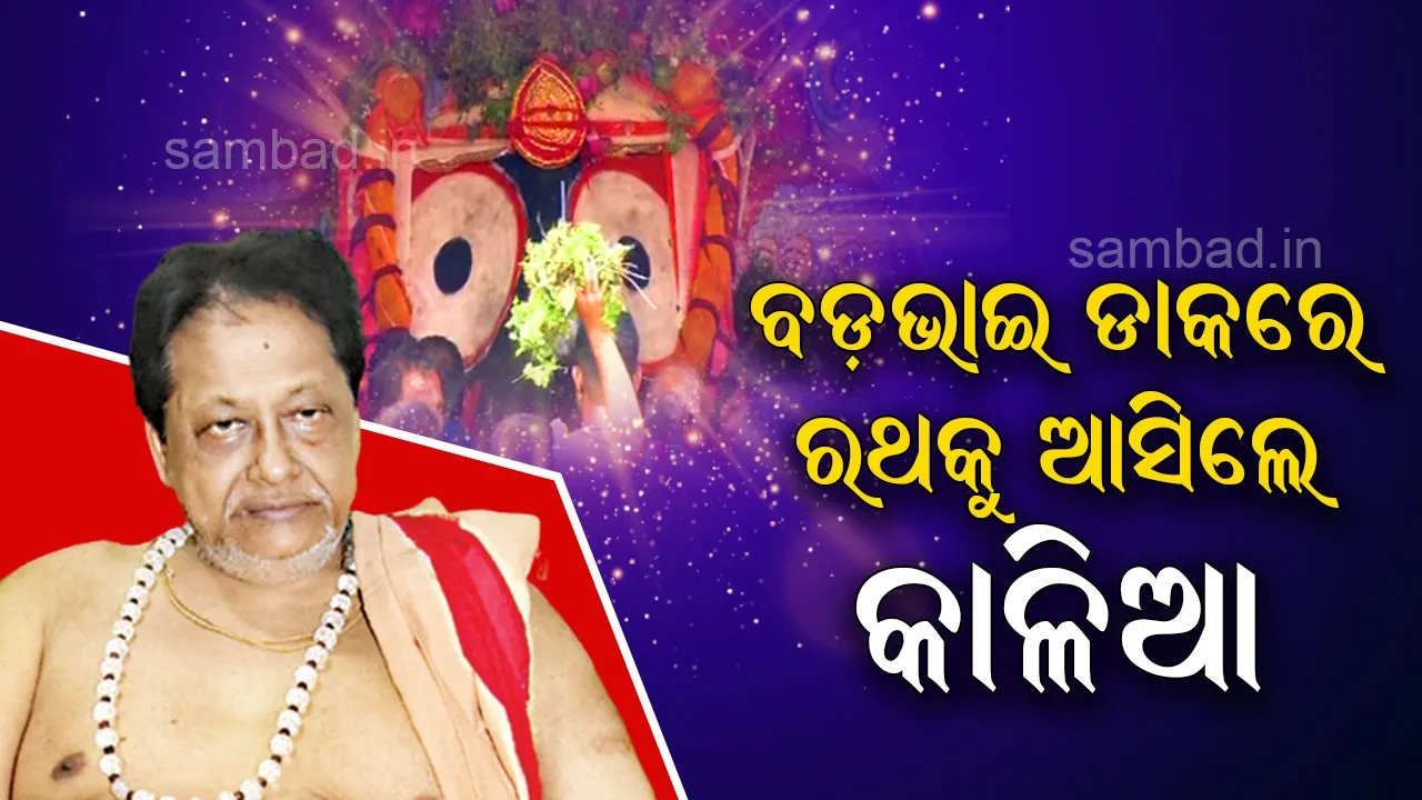  ରଥକୁ ଆସୁ ନଥିବା ମହାପ୍ରଭୁ ବଡ଼ଭାଇର ଡାକ ଶୁଣି ଆସିଥିଲେ : ହଳଧର ଦାସମହାପାତ୍ର (ଶ୍ରୀବଳଭଦ୍ରଙ୍କ ବାଡ଼ଗ୍ରାହୀ)