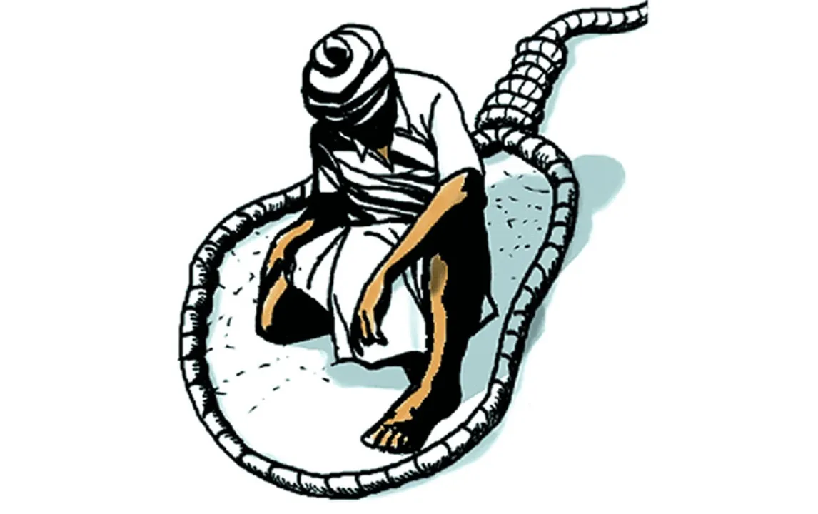  Representation image  