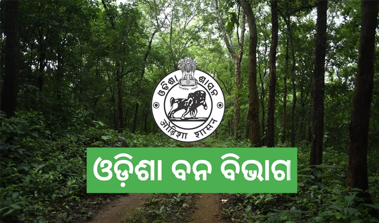 ବନ ବିଭାଗ ଗୁମର: ଭିଜିଲାନ୍ସ ମାମଲାରେ ଦଣ୍ଡିତ ବନାଞ୍ଚଳ ଅଧିକାରୀ ଚାକିରିରେ!