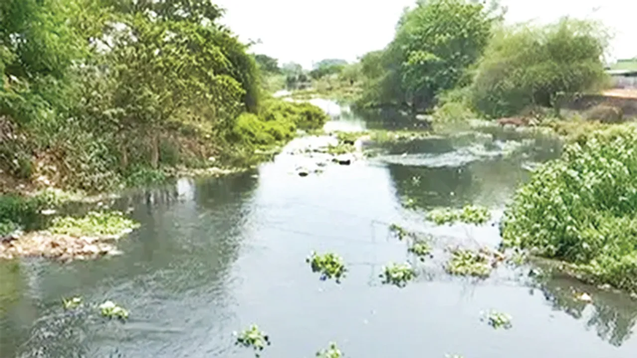  ବିଏମ୍‌ସି ନିୟନ୍ତ୍ରଣକୁ ଯିବ ଗଙ୍ଗୁଆ