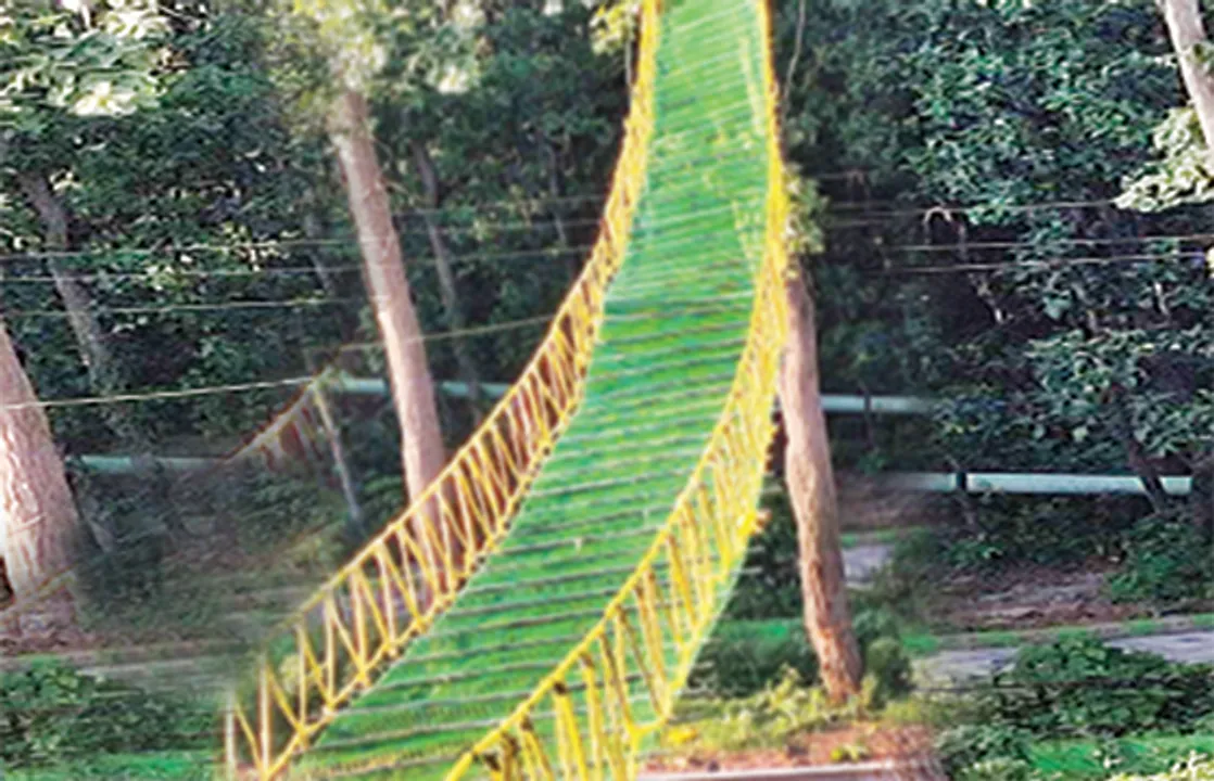  ମାଙ୍କଡ଼ଙ୍କ ପାଇଁ ଝୁଲାପୋଲ