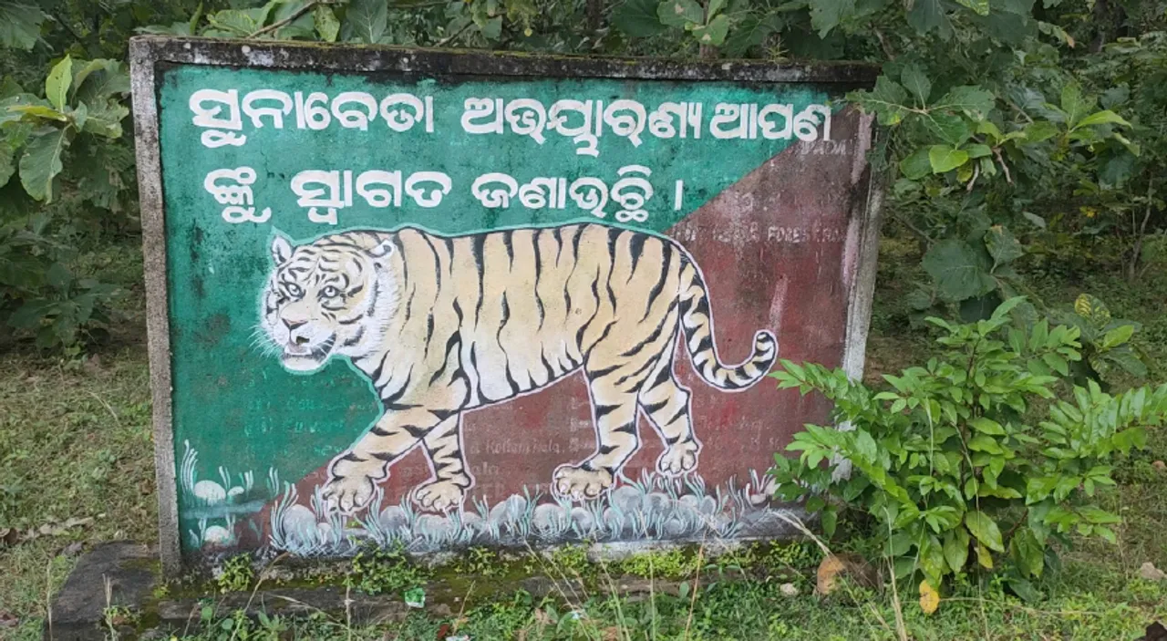  ଅସୁରକ୍ଷିତ ବନ୍ୟପ୍ରାଣୀ: ଅଟକିଛି ପ୍ରସ୍ତାବିତ ବ୍ୟାଘ୍ର ପ୍ରକଳ୍ପ, ବାଘ ଶୂନ୍ୟ ହେବ ସୁନାବେଡ଼ା ଅଭୟାରଣ୍ୟ