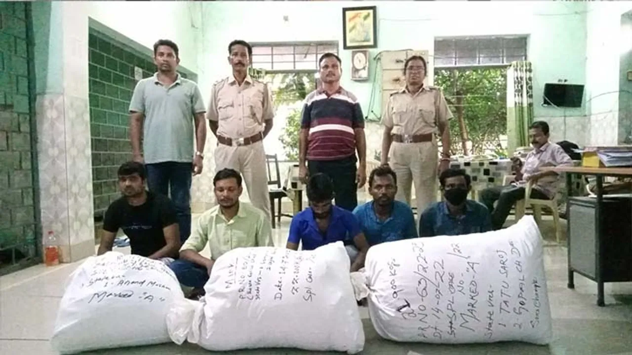  ୬୦ କେଜି ଗଞ୍ଜେଇ ଜବତ, ୫ ଗିରଫ