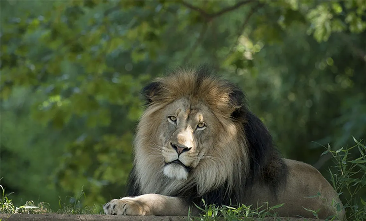  Smithsonian's National Zoo 