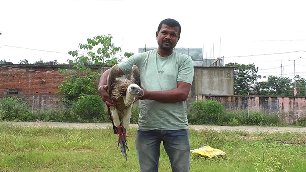  ଚାନ୍ଦିପୁର ଅଞ୍ଚଳରୁ ଶାଗୁଣା ଉଦ୍ଧାର