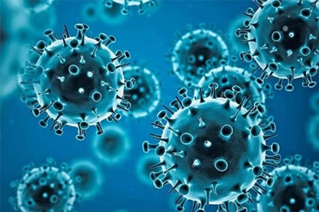  WHO | World Health Organization 