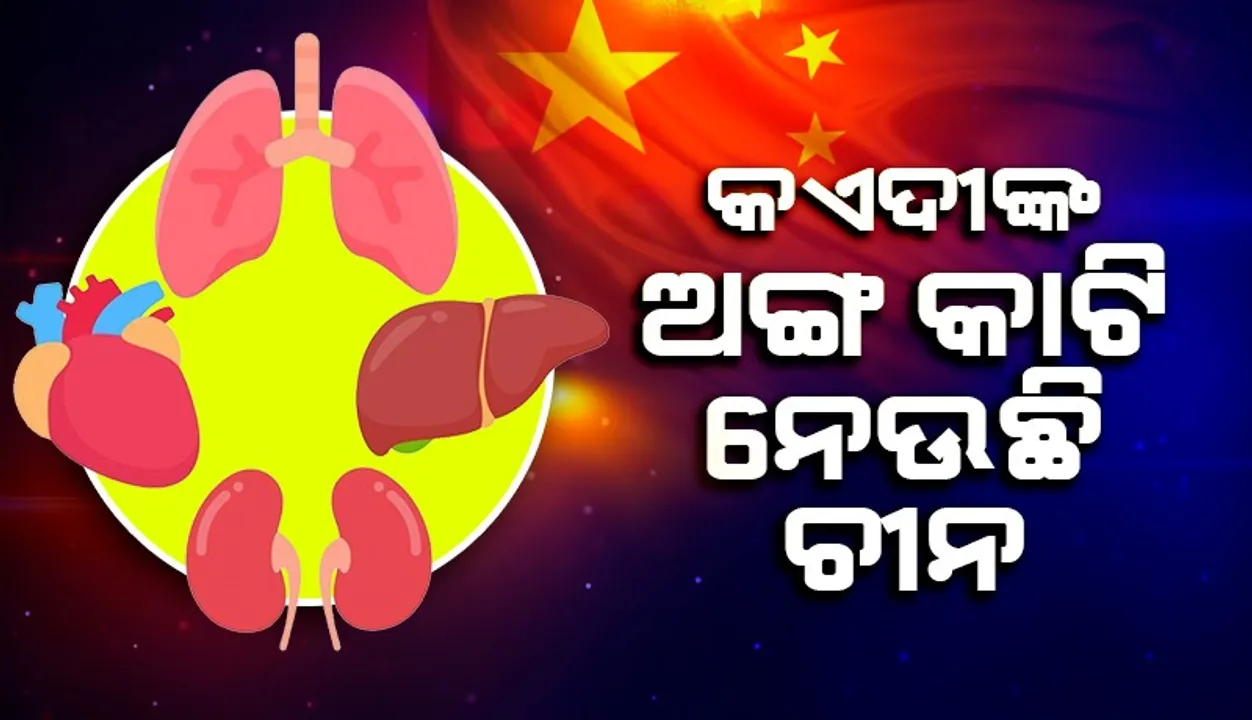  ବନ୍ଦୀମାନଙ୍କ କିଡନୀ, ଯକୃତ ଏବଂ ହାର୍ଟ ପରି ଅଙ୍ଗର ବ୍ୟବସାୟ କରୁଛି ଚୀନ